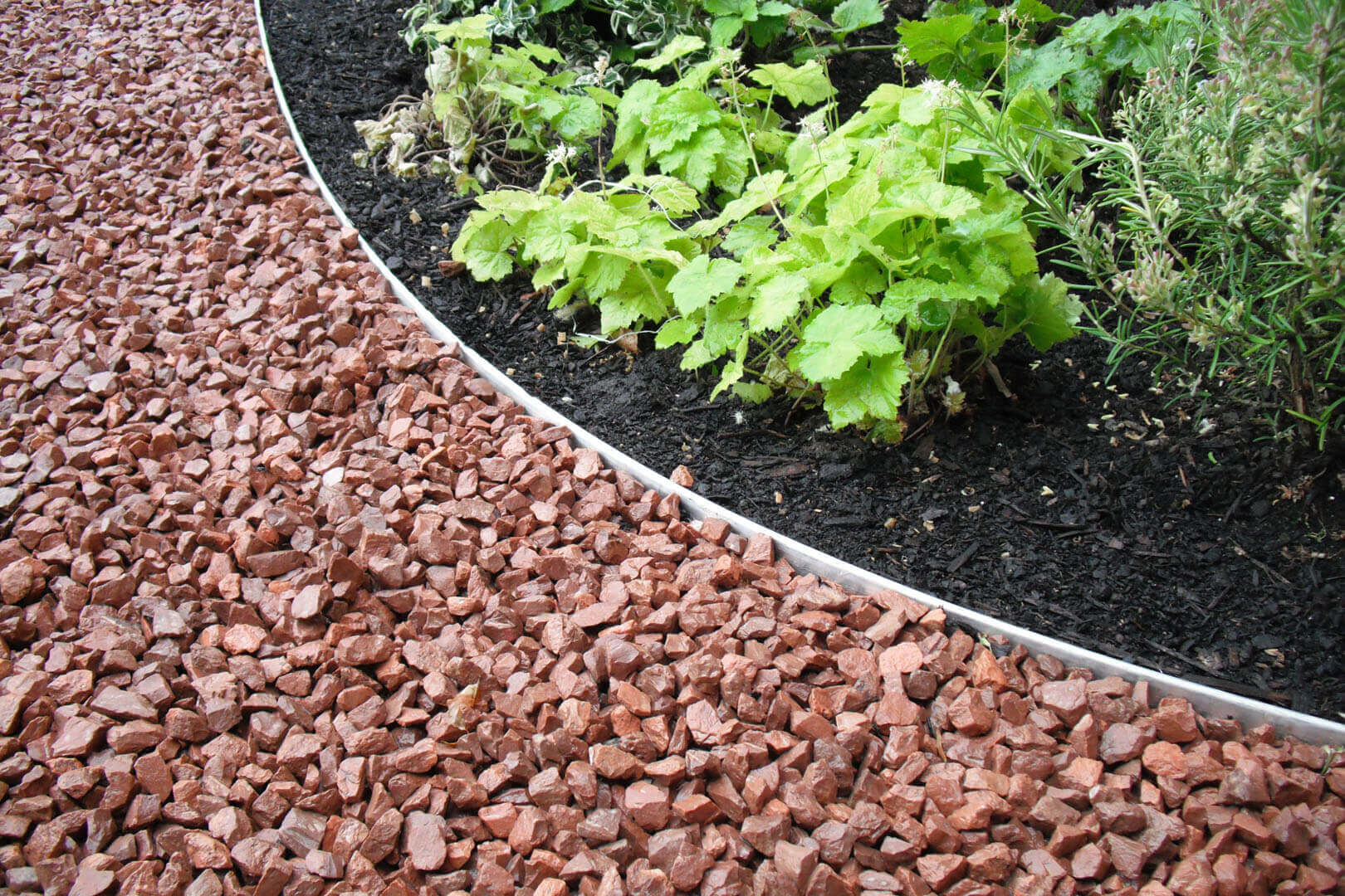 Gravel driveway around plants